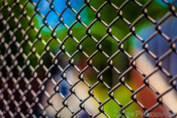 3 Light Photography, Brooklyn, Fence